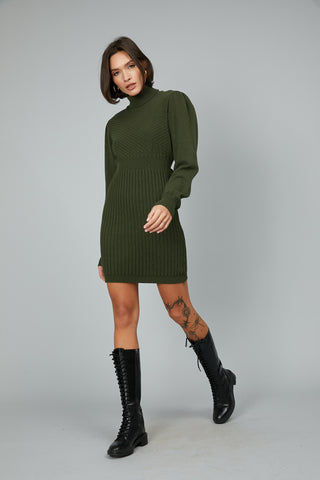 Fitted turtleneck dress